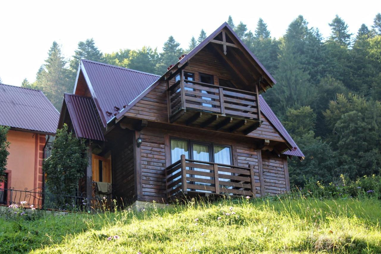 Cottage "Karpatske Shale" Jaremtsche Exterior foto