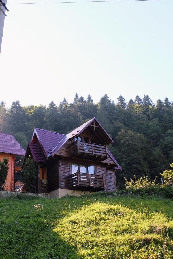 Cottage "Karpatske Shale" Jaremtsche Exterior foto