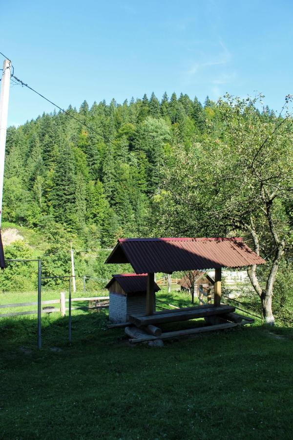 Cottage "Karpatske Shale" Jaremtsche Exterior foto
