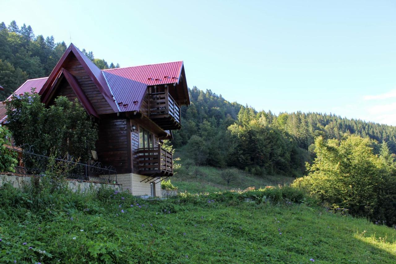 Cottage "Karpatske Shale" Jaremtsche Exterior foto