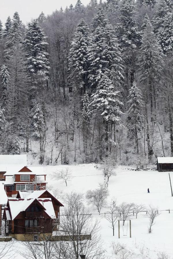 Cottage "Karpatske Shale" Jaremtsche Exterior foto