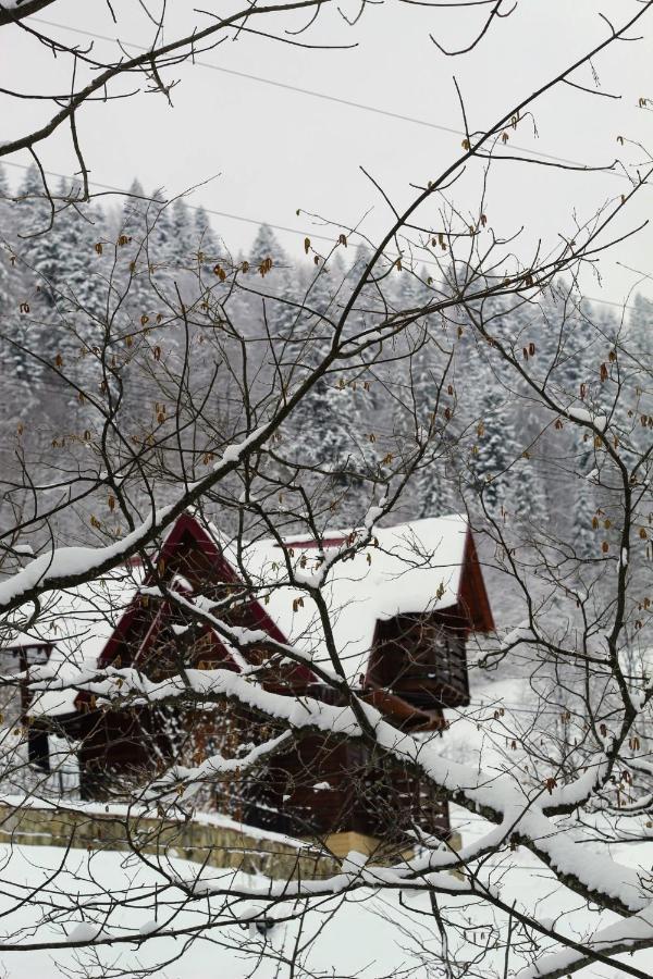 Cottage "Karpatske Shale" Jaremtsche Exterior foto
