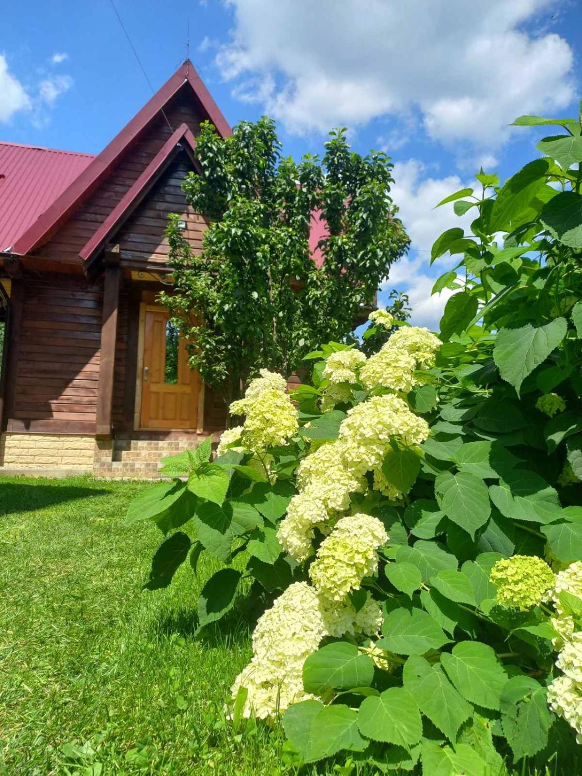 Cottage "Karpatske Shale" Jaremtsche Exterior foto